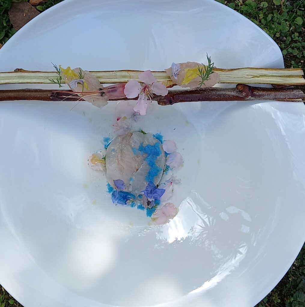 Antipasto con caviale e gambero gobbetto